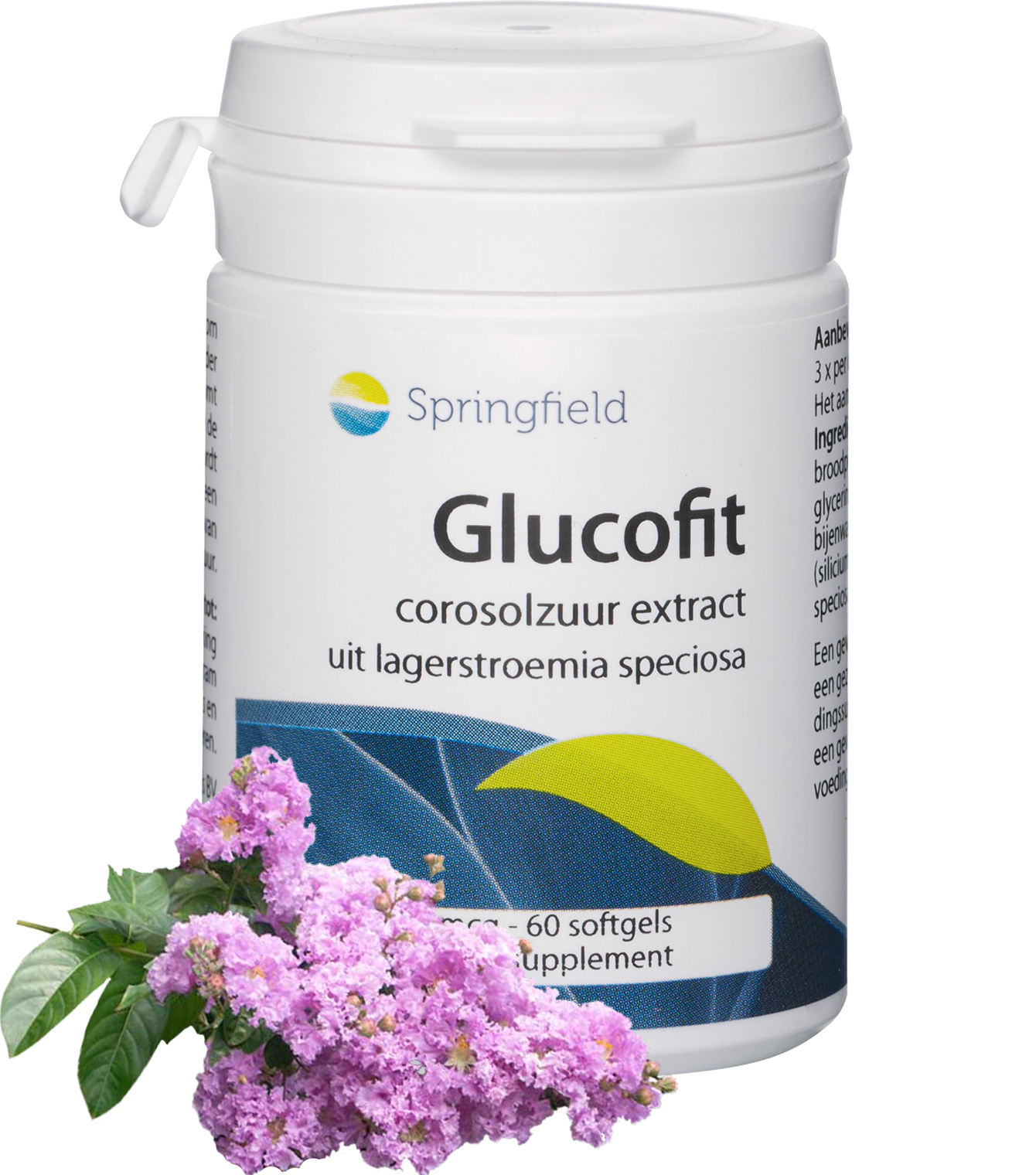 GlucoFit Corosolic acid (480 mcg) - 60 Softgels 