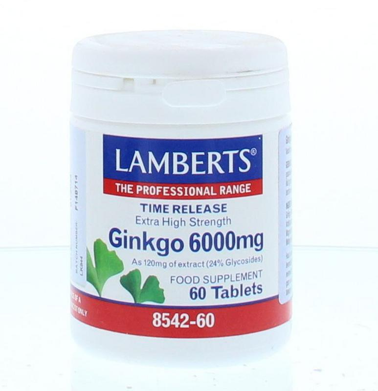 Ginkgo (6000 mg) - 60 tab