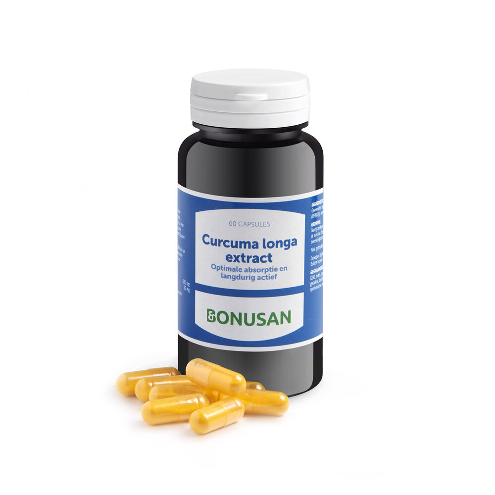 Curcuma longa extract - 60 caps