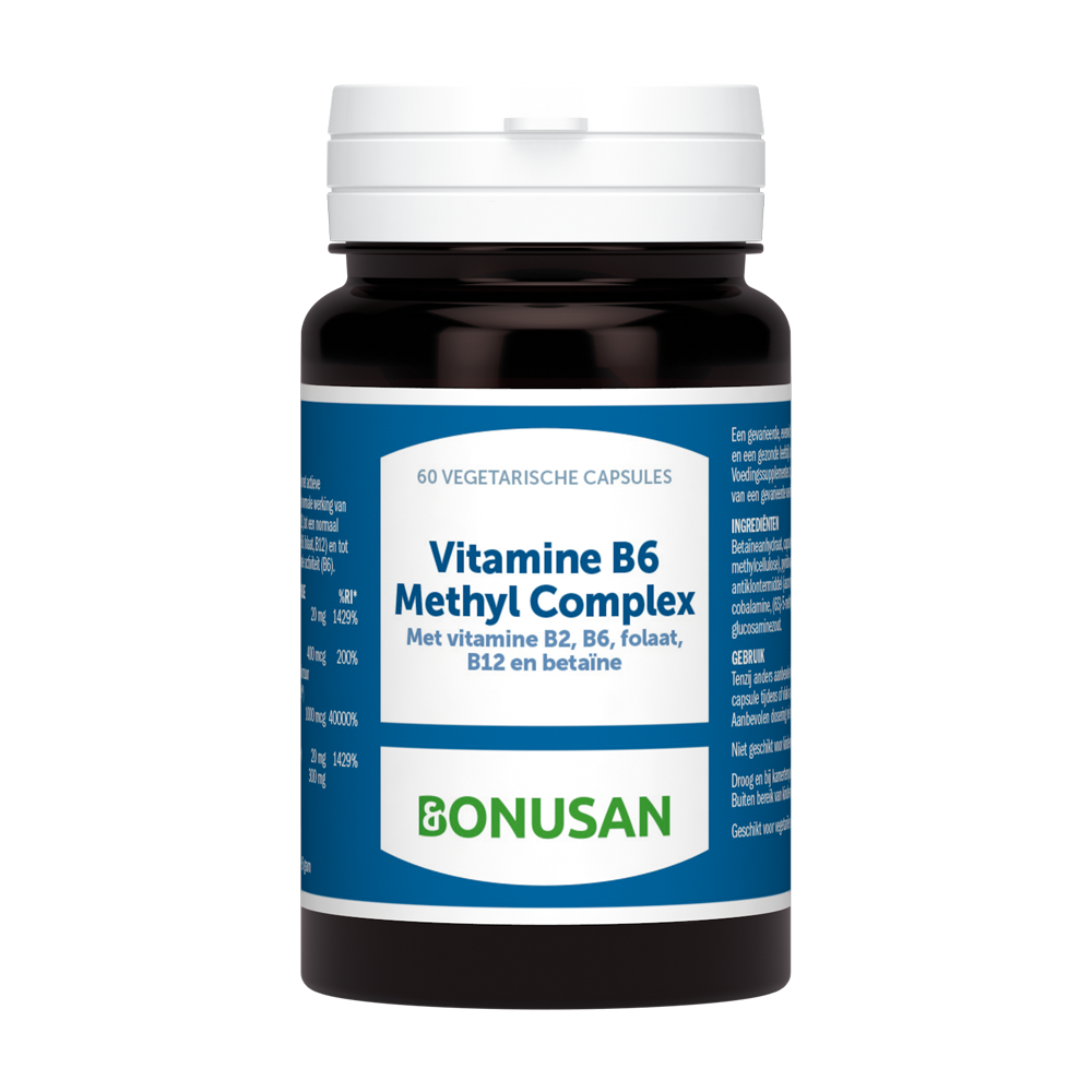 Vitamine B6 Methyl Complex - 60 caps 
