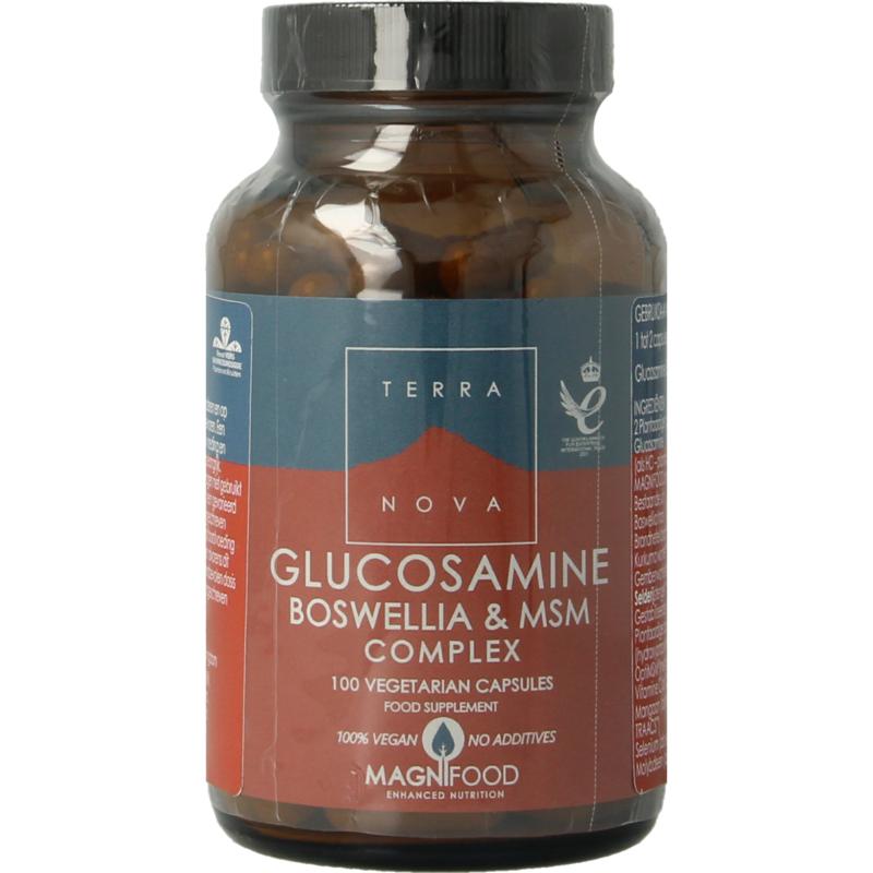 Glucosamine Boswellia & MSM Complex - 100 caps