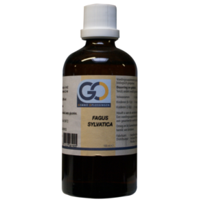 GO Fagus sylvatica (Beuk) - 100 ml